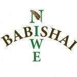 cropped-cropped-babishai-logo-jpeg.jpg